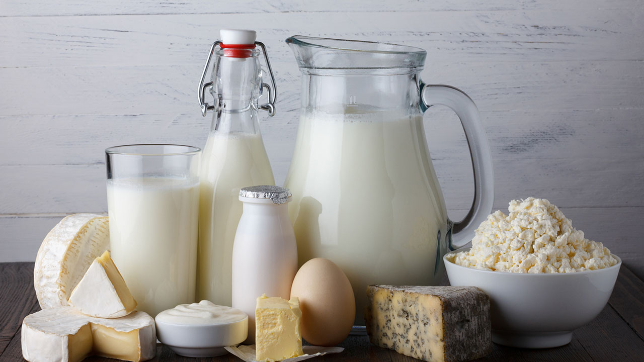 Milk, cheese, butter and other dairy products