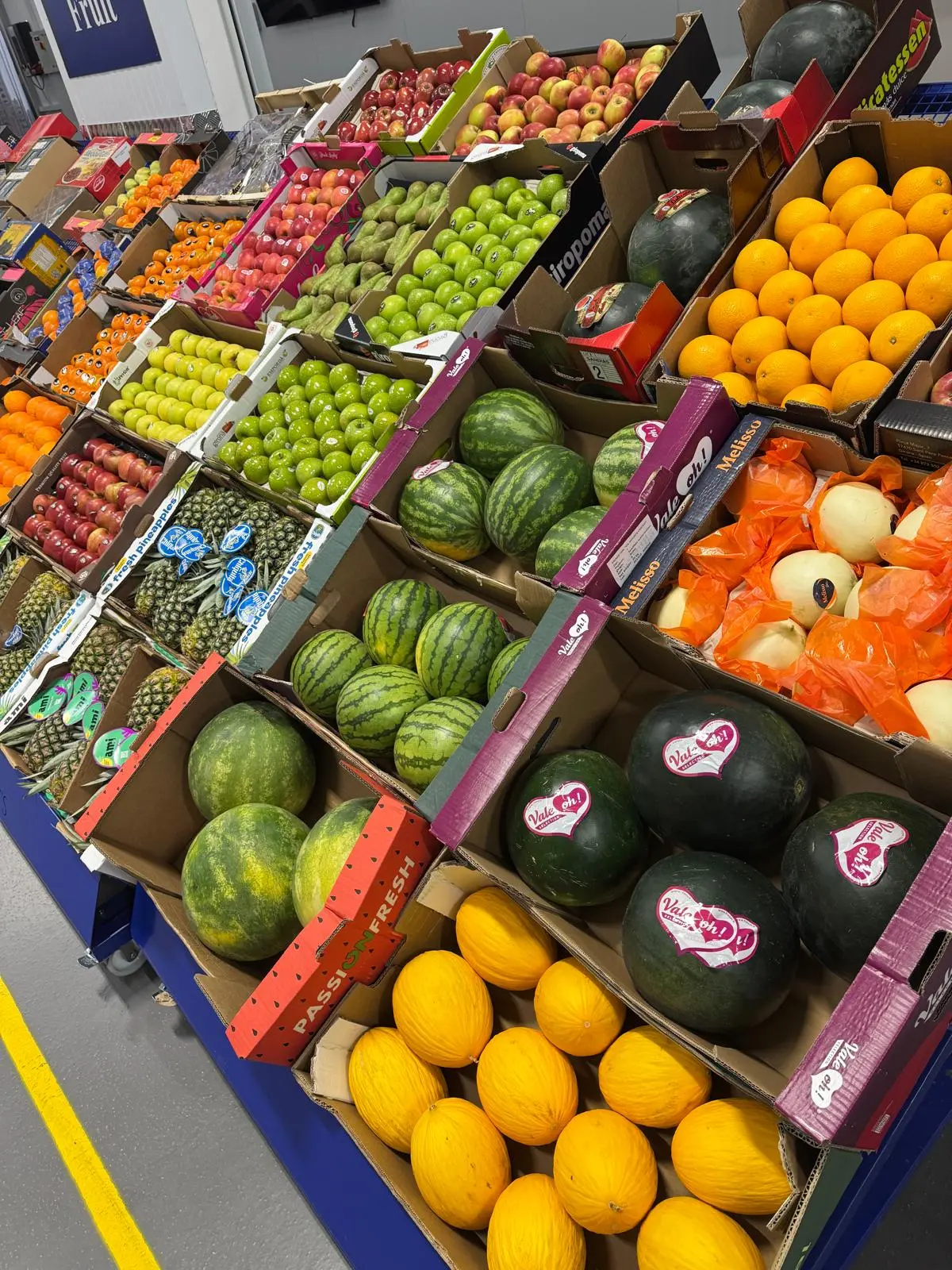 Selection of fresh fruit displayed by Syswood Fruits