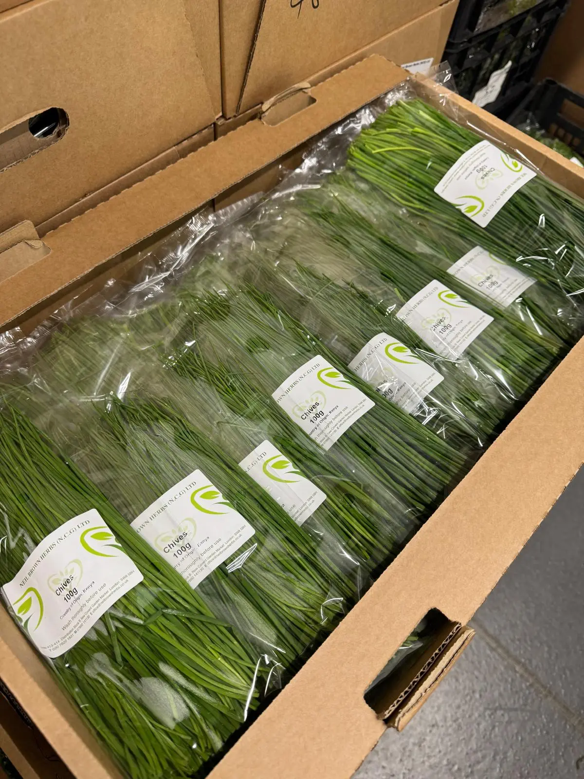 Fresh chives supplied by Syswood Fruits