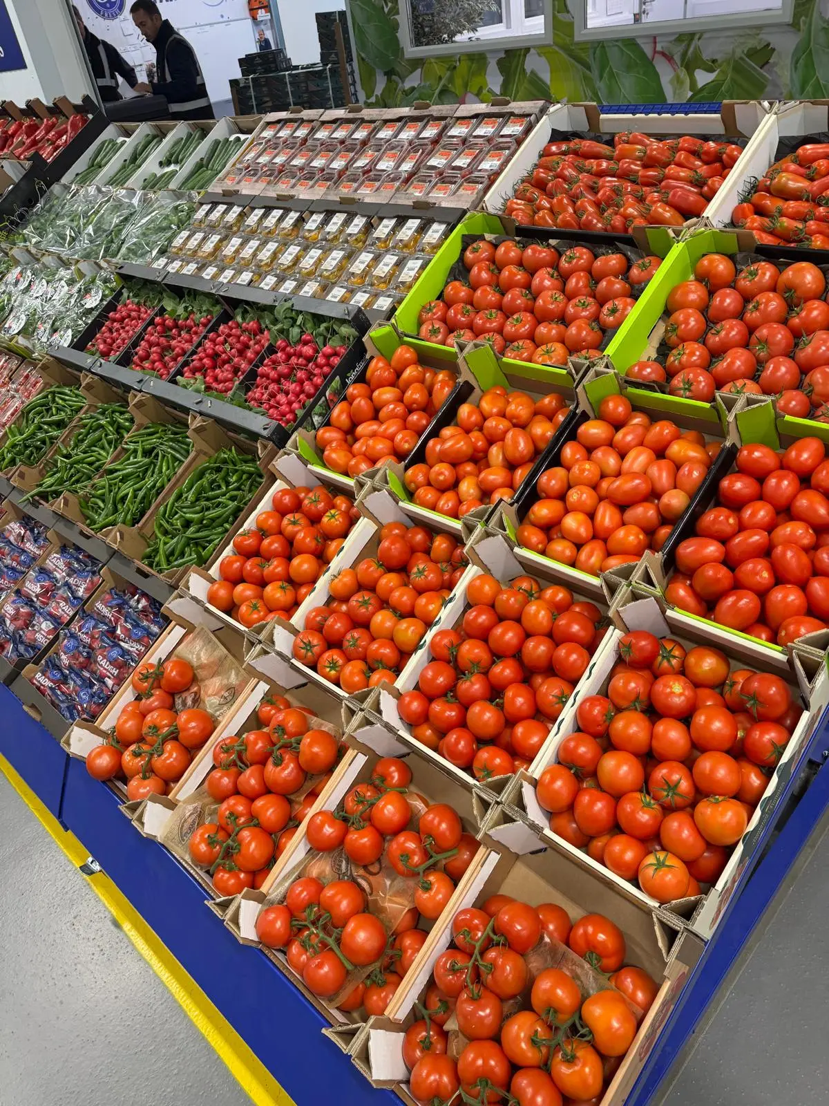 Fresh tomatoes, chillies and vegetables displayed for wholesale supply
