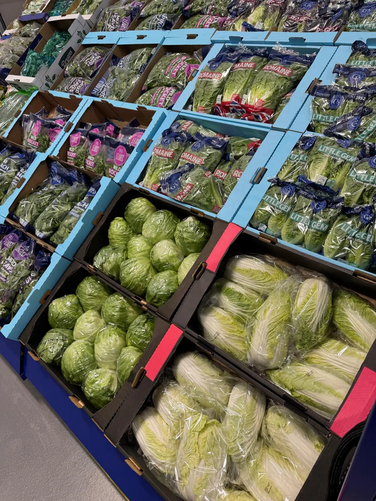 Fresh lettuces and packaged salad produce