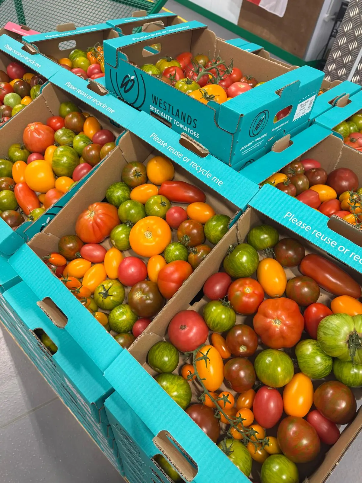 Colourful selection of fresh heritage tomatoes