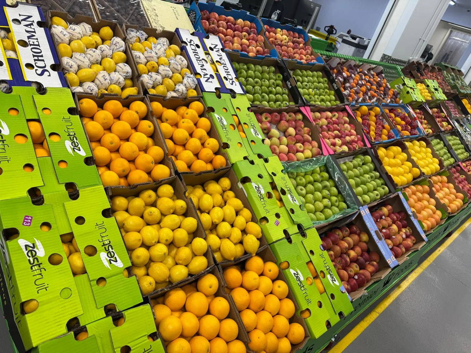 Colourful display of fresh fruit available from Syswood Fruits